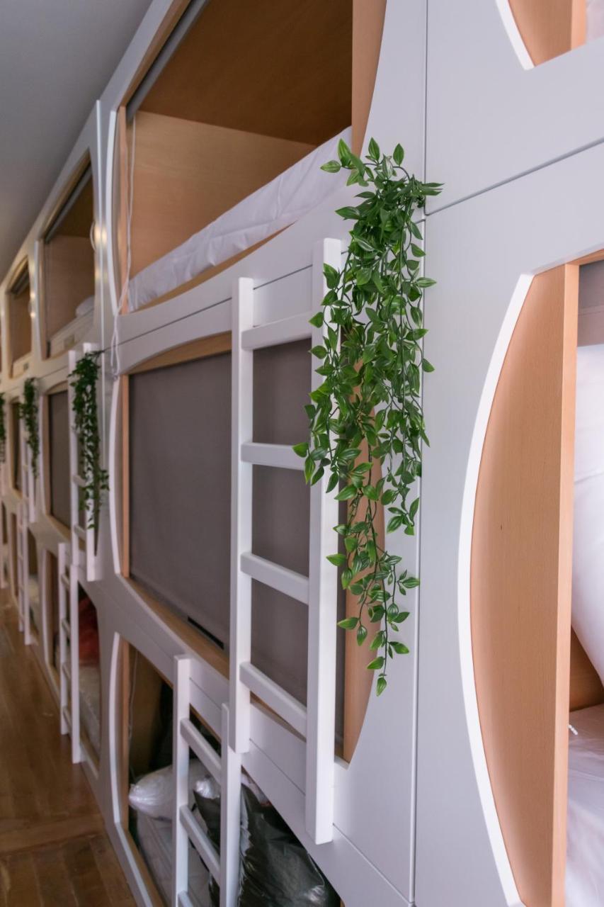 The Mulberry Tree Hostel Lisbon